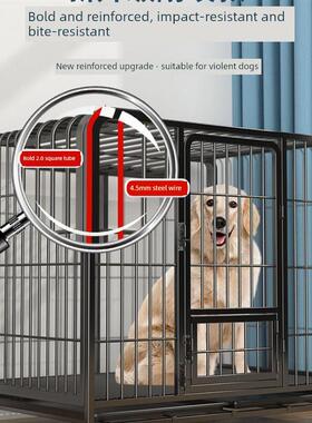 大型犬笼和中型犬笼，有独立厕所，室内和室外金毛拉布拉多犬笼