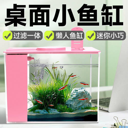 桌面小鱼缸爬宠饲养箱雨林生态造景缸宠物角蛙蜘蛛蜥蜴守宫养殖盒