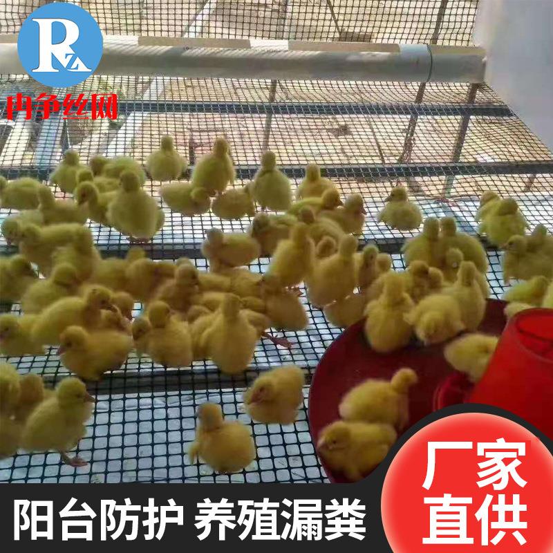 塑料路基加固土工圈栅孔育雏鸡小床网玉SXP米网养殖围网圈格地护
