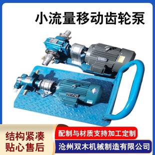 厂家供应小流量移动齿轮泵铸铁机油润滑泵高温胶水泵齿轮油泵