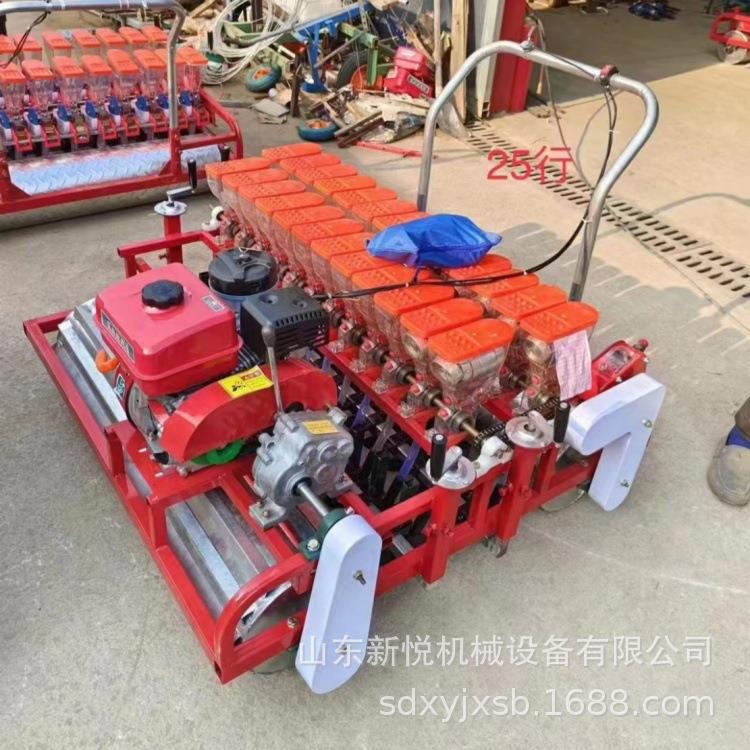 大头菜播种机 汽油自走式多行种植机 供应手扶带蔬菜播种机
