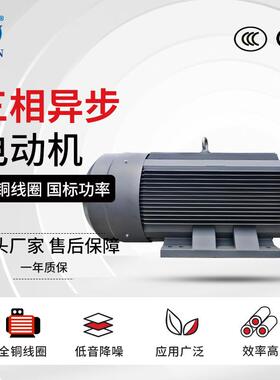YE3-315S/M/L1/L2-6极电机75W/90W/110W/132W大功率电动机