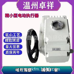 精小型电动执行器电动装置电动头ZX-20长期供应