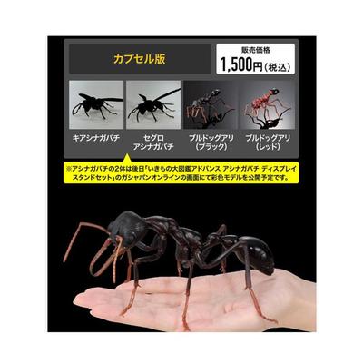 正版生物大图鉴马蜂亚