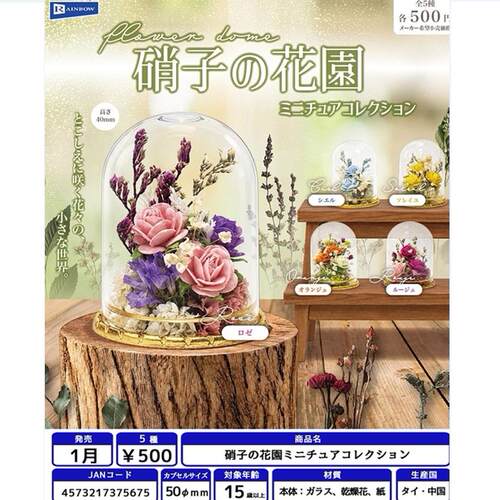 3月预定日本RAINBOW玻