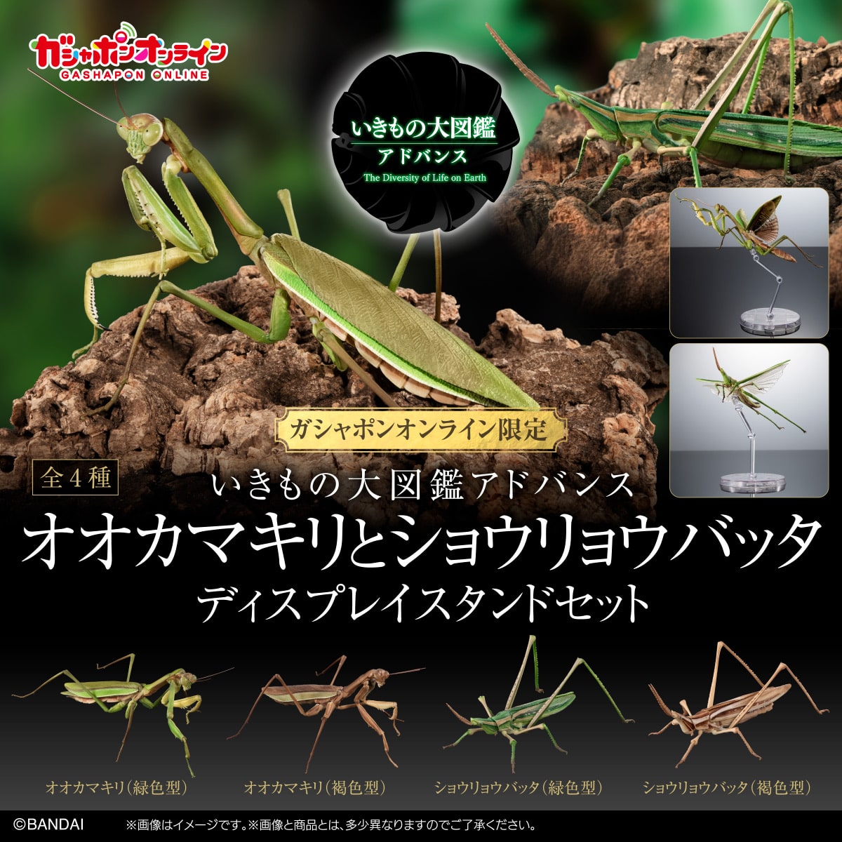 万代日本正版生物大图鉴
