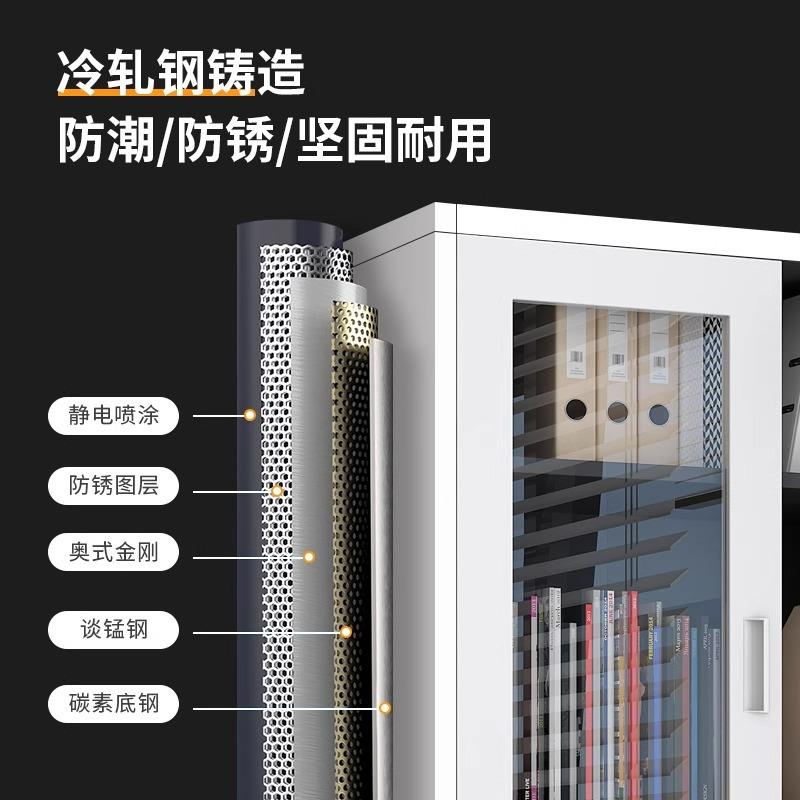 铁皮文件柜办室钢制档公柜资料书柜财案务凭证带锁矮柜DDF更衣储