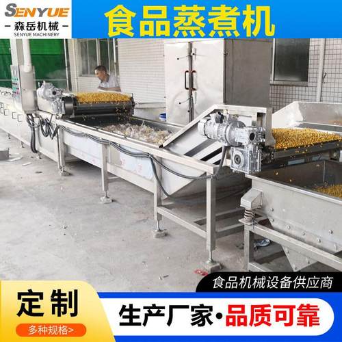 全自动蒸煮机杂粮蒸煮机生产线蔬预煮漂LXZ烫机菜谷品物蒸煮食机