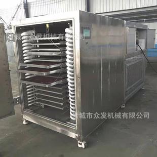 果蔬低温机冷冻干燥机调干味品真片空冻机5平方牛油果真空冻干厂
