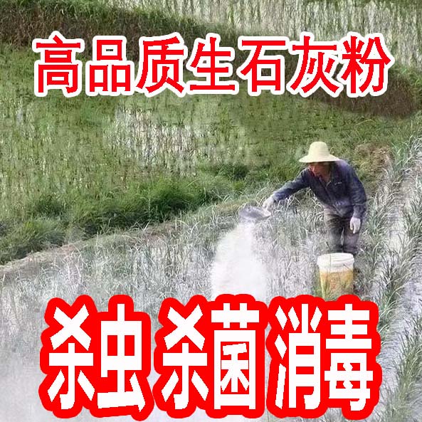 高纯度生石灰粉除湿消毒干燥剂
