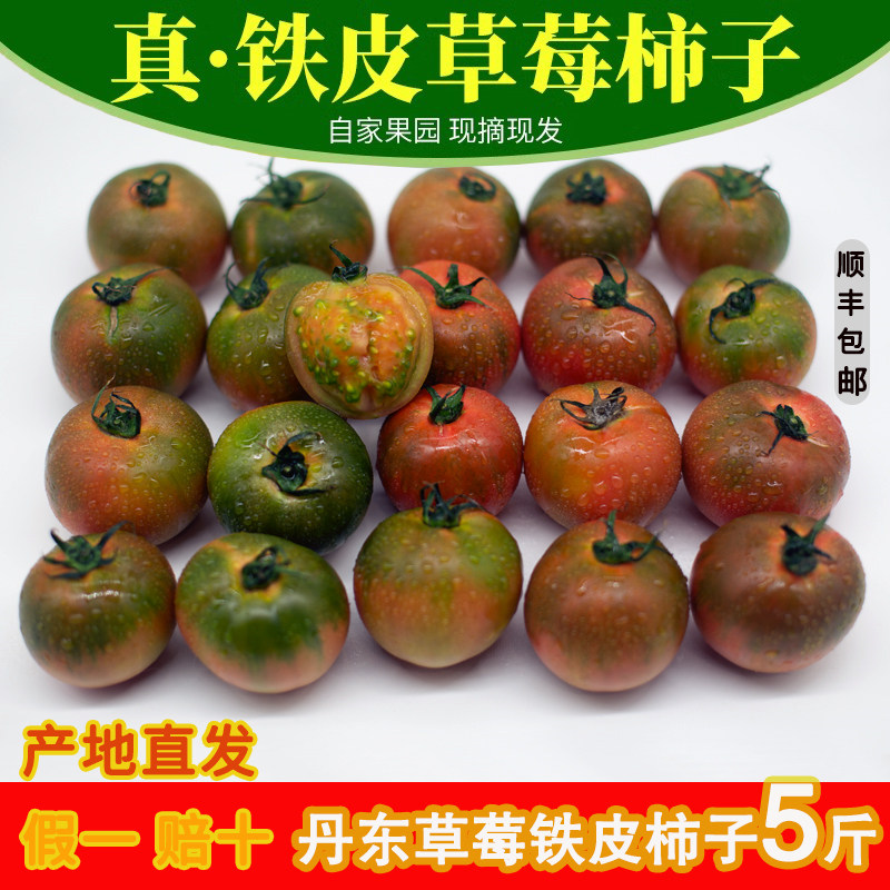 丹东草莓柿子西红柿新鲜自然熟铁皮柿子生吃水果草莓番茄包邮,水产肉类/新鲜蔬果/熟食,番茄,淘宝优惠券,粉丝福利购,淘宝优惠卷