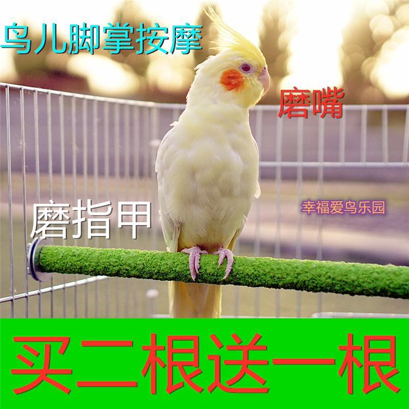 小鸟站杆磨砂玄凤鹦鹉玩具杠