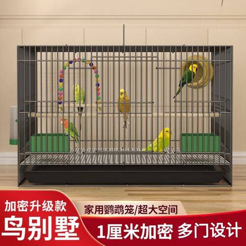 养芦丁鸡笼子饲养专用笼家用室内大号雏鸡雏鸭小鸭小鸡宠物笼加密