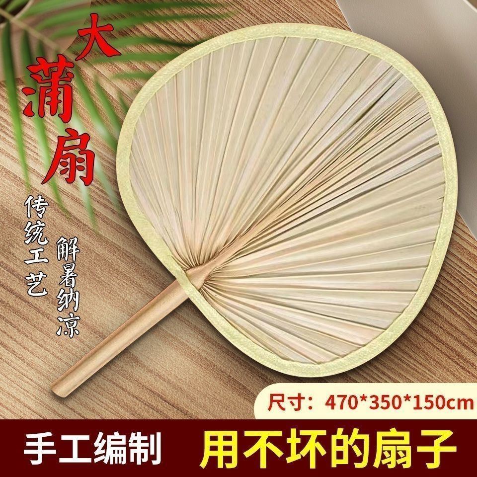 扇子大芭蕉扇子老式家用济公扇葵扇新款蒲扇夏季舞蹈烧烤扇蒲草扇
