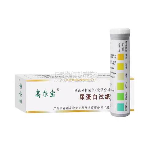 蛋尿白检LJR测试纸常规尿功条24小时定量检测肾能尿液分析仪蛋白