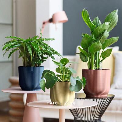 ELHO时尚家居花盆VIBES栅栏竖纹INS风绿植无孔圆盆简约磨砂荷兰制