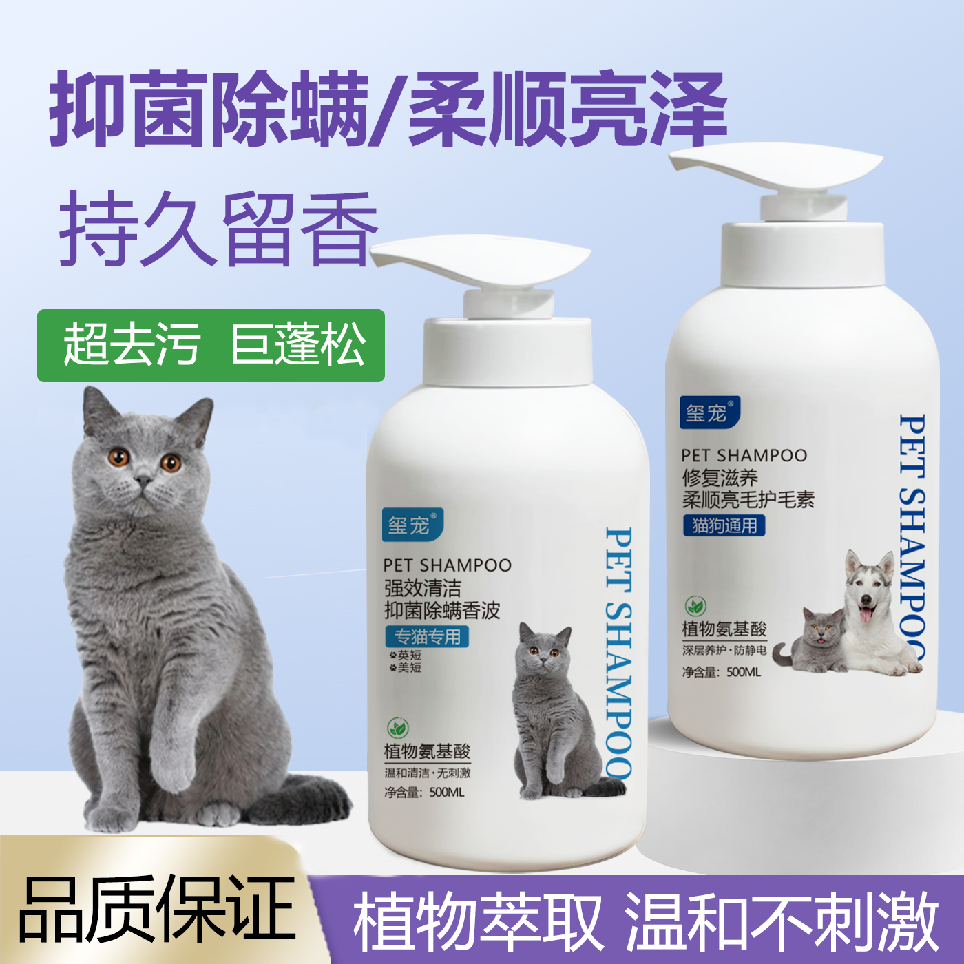 英短蓝猫美短猫咪沐浴露抑菌除螨去味留香柔顺蓬松猫咪洗澡液香波