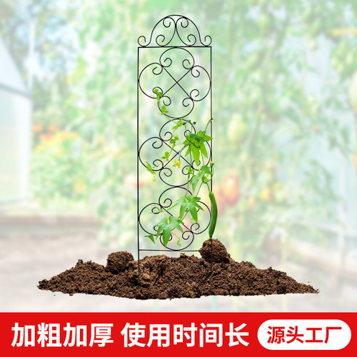 铁艺爬藤架铁线户外支架月季阳台攀爬花架欧式植物架庭院花园栅栏