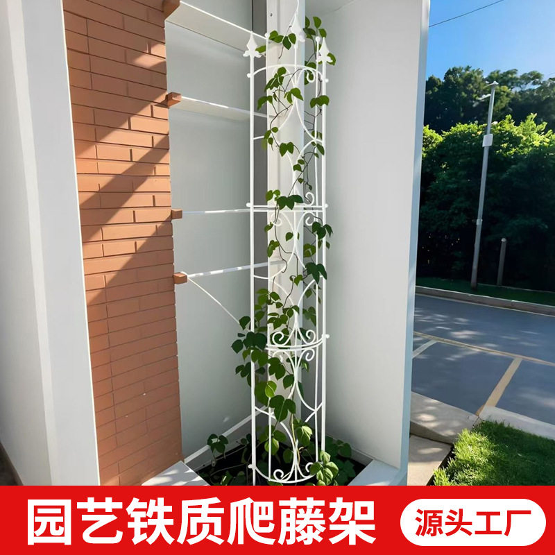 园艺铁质爬藤架花栅栏阳台装饰室内外通用绿植支架攀爬架铁艺爆款