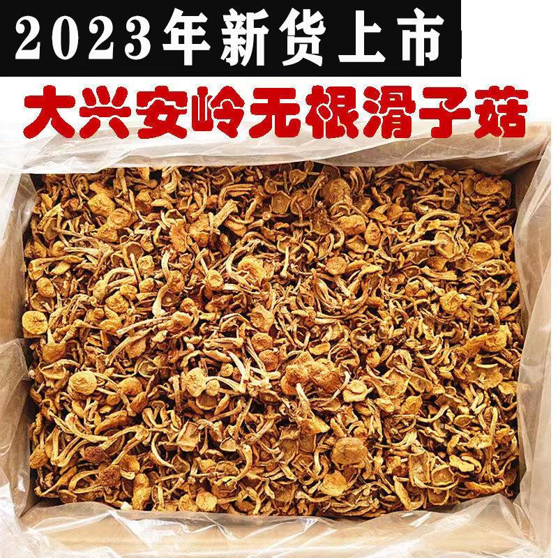 2023年东北大兴安岭新货滑子菇干货袋装小黄蘑香菇类顺滑无薰硫