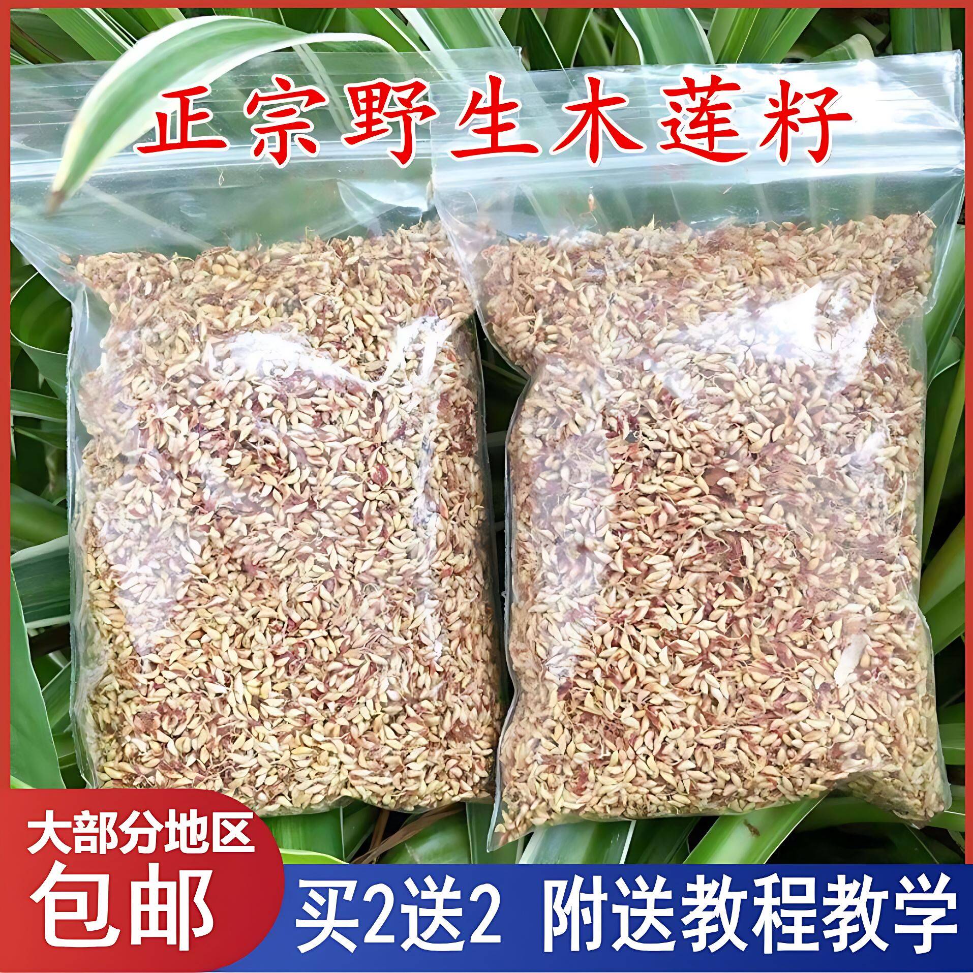 浙江诸暨特产木莲豆腐木莲子野生木莲籽爱玉子冰粉籽薜荔籽凉粉籽