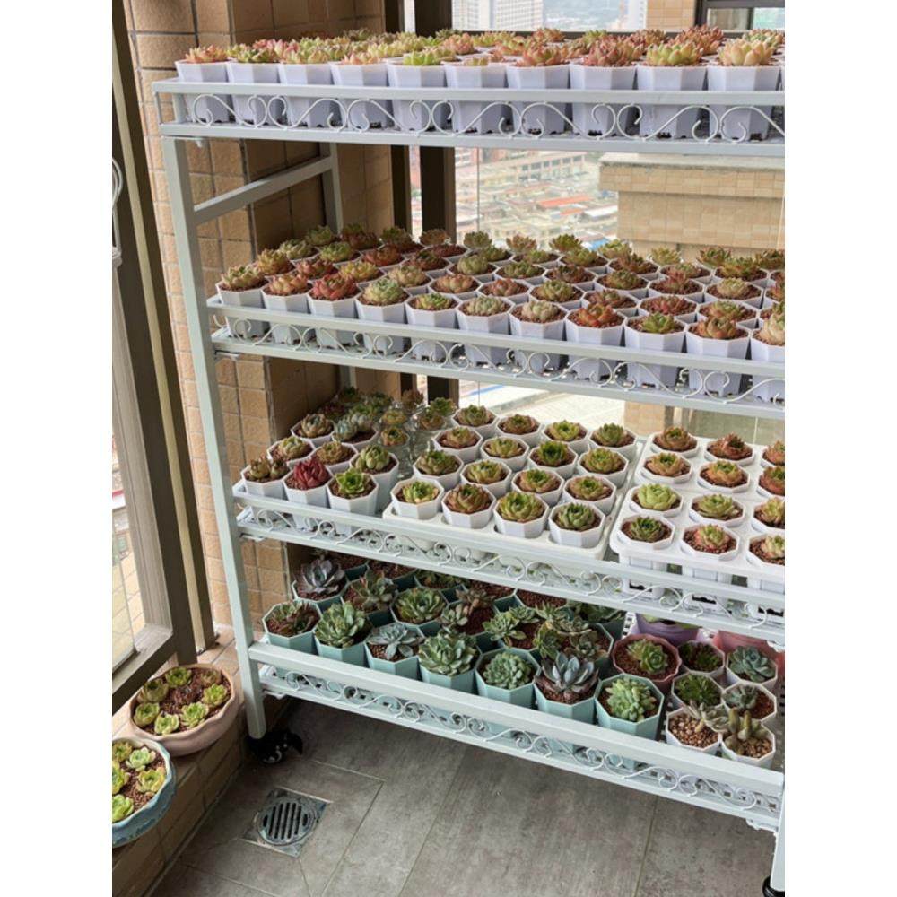 【带烟花】阳台多肉花架、室外落地轮式移动室内铁台多层花架,住宅家具,花架/花几,淘宝优惠券,粉丝福利购,淘宝优惠卷