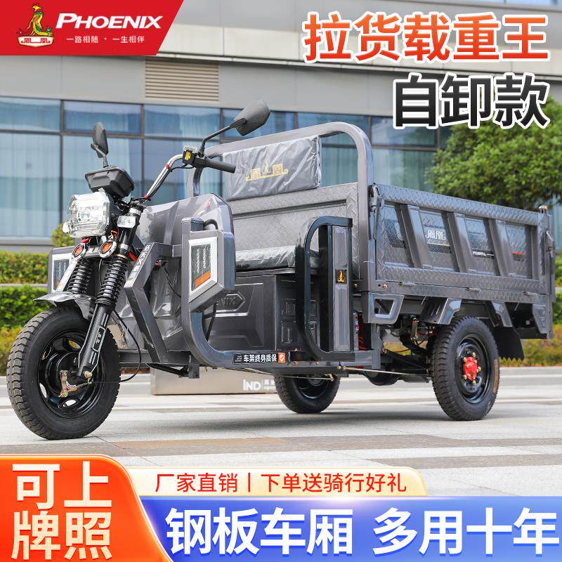 凤凰 1.6米自卸电动三轮车拉货家用电瓶车 农用货车载重王可上牌