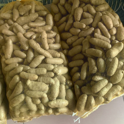 正宗铁棍山药豆冰糖葫芦口感粉糯