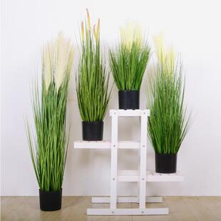 饰北欧绿植居家装 仿真芦苇小草室内客厅盆景绿植装 饰假芦苇小草