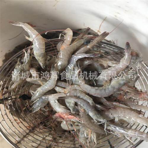 北极虾剥壳机 滑皮虾去壳机 效率高虾仁完整无损害