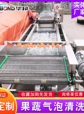 ZLR辣椒气泡清洗机 不锈果钢蔬清线洗桃流水 子车厘子加工清洗设