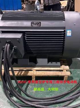 山东淄博厂家直供MDIC355L2-2/315W-B35真空炉三相异步电动机