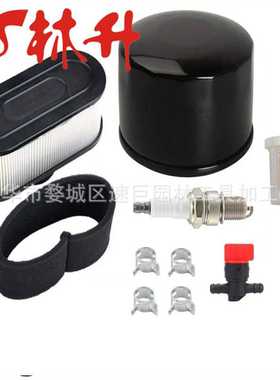 林升供应 空滤总成适用于 Kawasaki FR651V FR691V FR730V FS481V