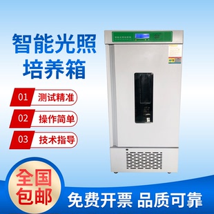 智能光照培养箱实验室种子恒温光照箱动植物生长观察箱种子发芽箱