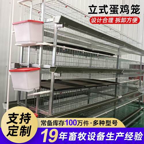 三层立式蛋鸡笼带粪盘三层四层自动清粪养鸡笼镀锌防锈养鸡设备