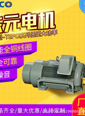 东元电机全密型-TEFC低压大功率异步电动机鼠笼式卧式185kW200kw
