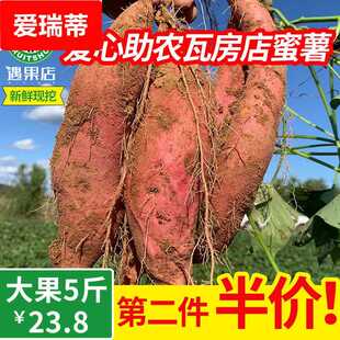 瓦房店蜜薯糖心红薯 新鲜现摘农家番薯助农红心山芋地瓜5斤