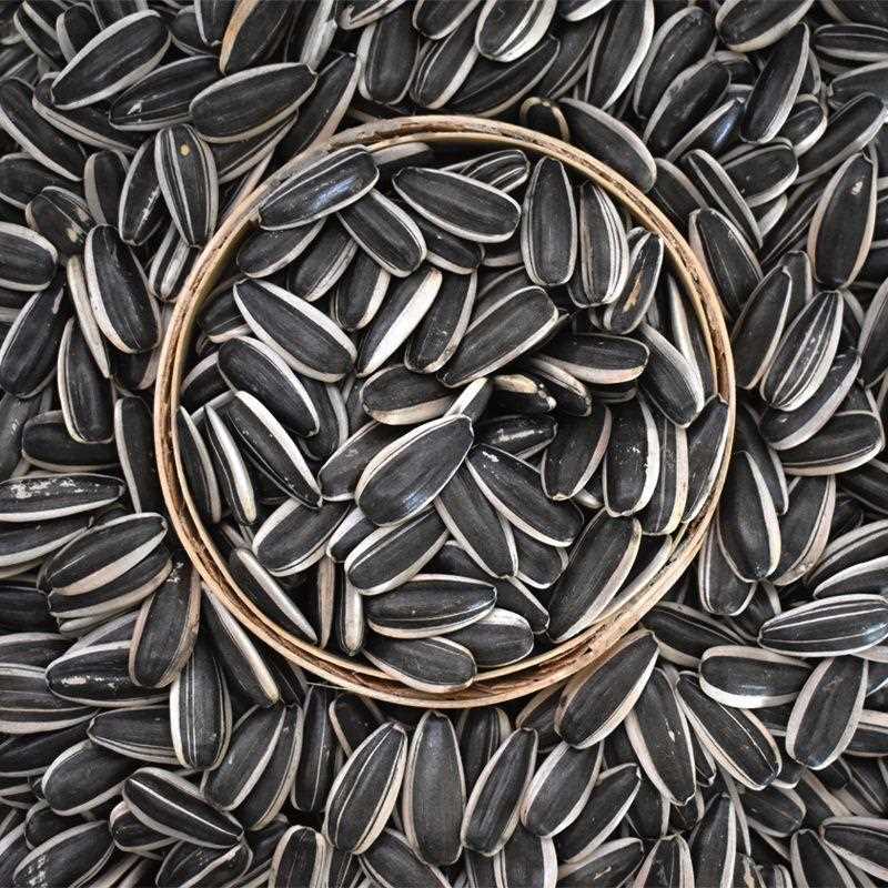 瓜子内蒙古原味炒熟生特大粒葵花籽新货大袋5斤