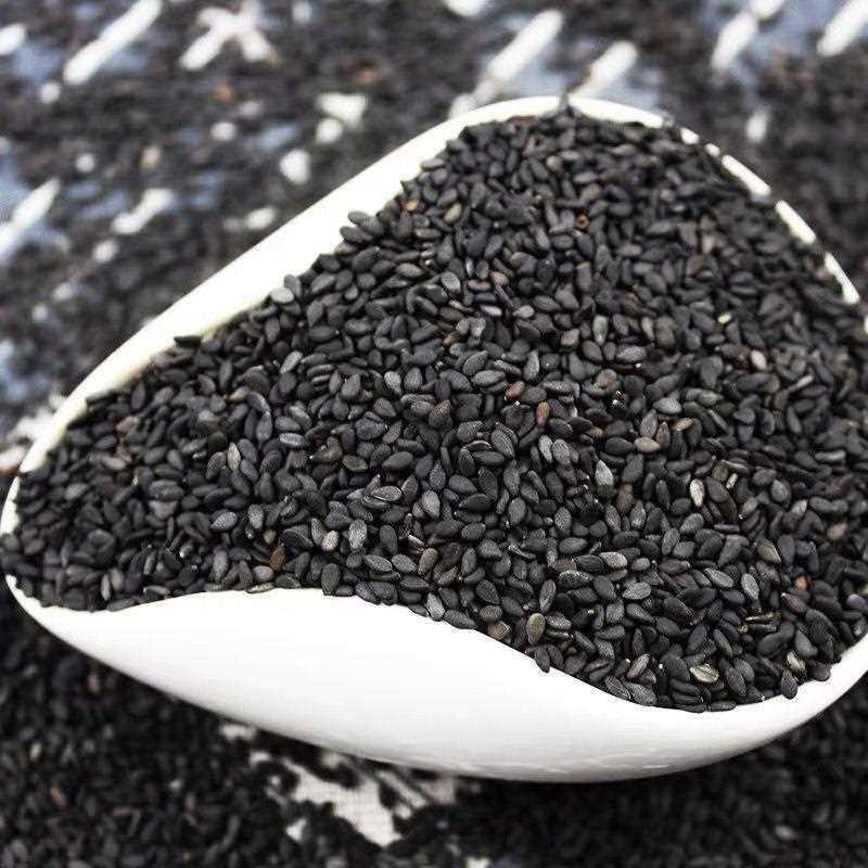新染货黑芝 农麻家自生黑芝麻无色干净种颗粒饱满生芝