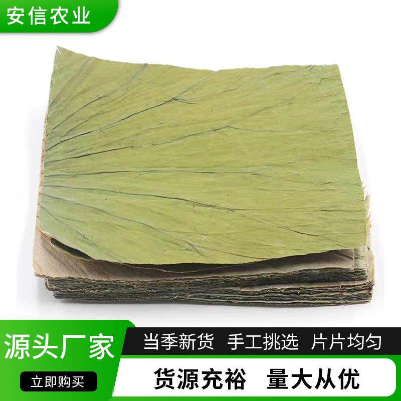 山东济宁微山湖荷叶整张新鲜商用蒸饭荷叶鸡 糯米鸡专用方形荷叶