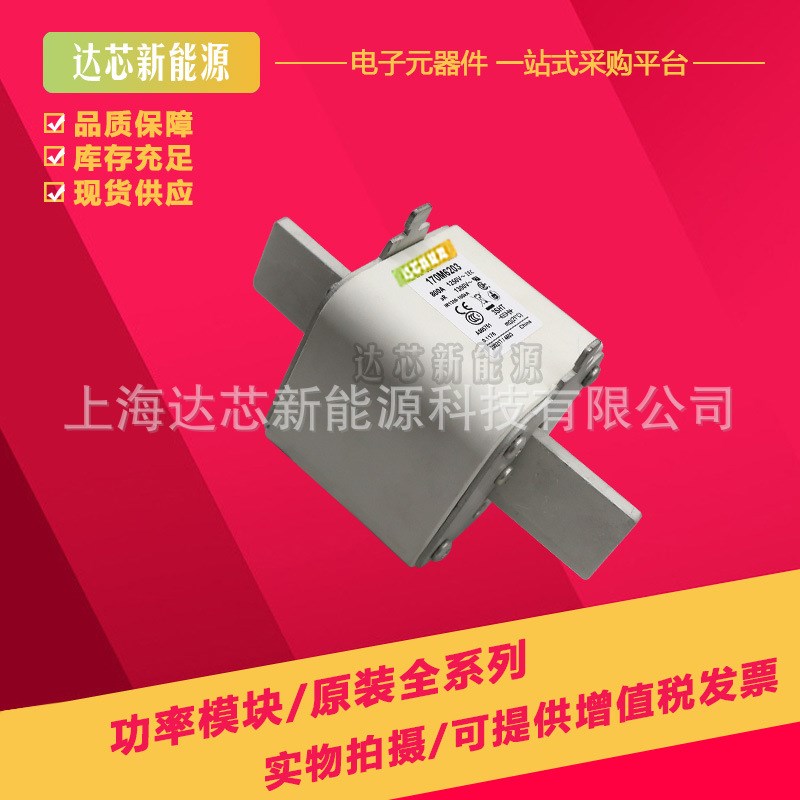 170M6258 170M6259 170Mw6260 170M6261 170M6262全新巴斯曼熔断