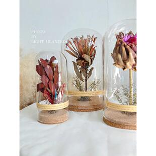 永生花干花帝王花植物标本玻璃罩微景观教室客厅样板间摆件礼物