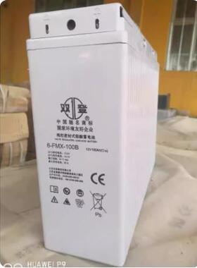 双登狭长型12V100AH蓄电池6-FMX-100B太阳能光伏基站室外机柜备用