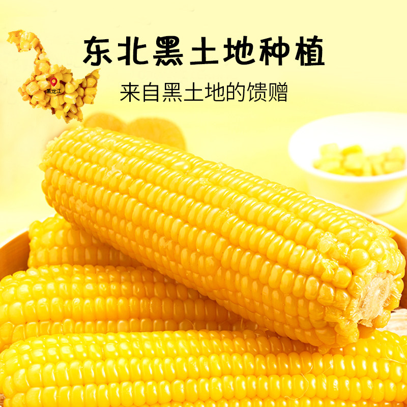 东北玉米黄糯玉米10棒当季新鲜糯玉米减健身代餐源头工厂直发