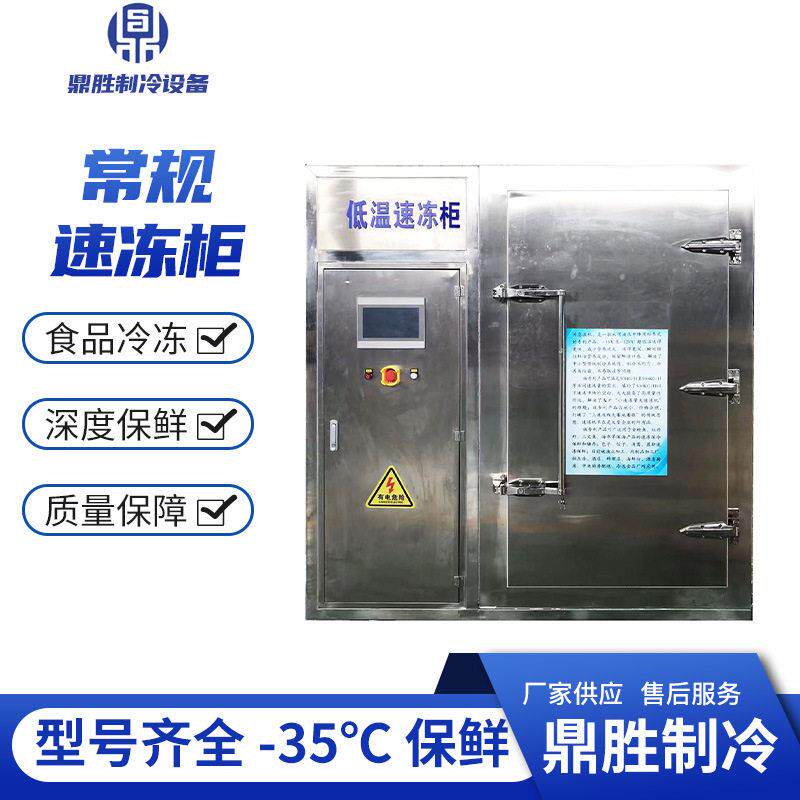 常规速冻柜冷冻包子油条鱼片龙虾面食商用冰柜厂家供货预制菜保鲜