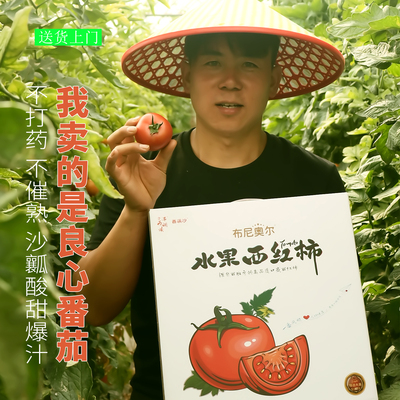 西红柿新鲜正宗布尼奥尔粉红沙瓤自然熟生吃普罗旺斯水果番茄