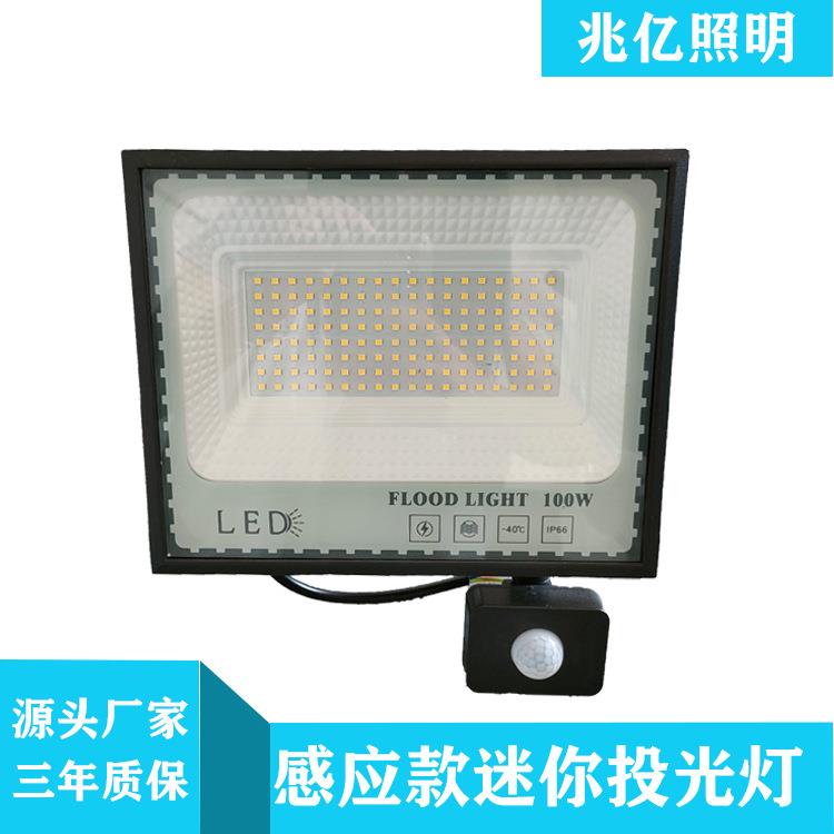 mini款人体感应投光灯大功率泛光灯庭院草坪灯防水150W广告牌