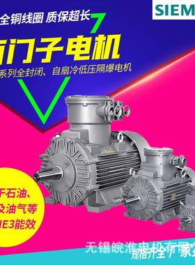 电机SIMOTICS XP 1MB1/5 系列低压隔爆三相异步电机0.18w
