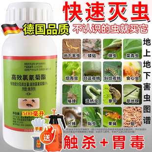 敌杀虫剂畏畏气雾剂滴滴农药喂大全敌敌农用畏正品高效氯氟氰菊脂