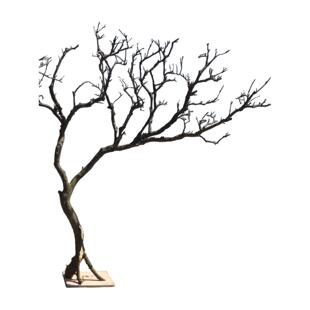 干树枝造景干枝树干许愿树枯树室内玄关造型树枝干原木树枝装饰树